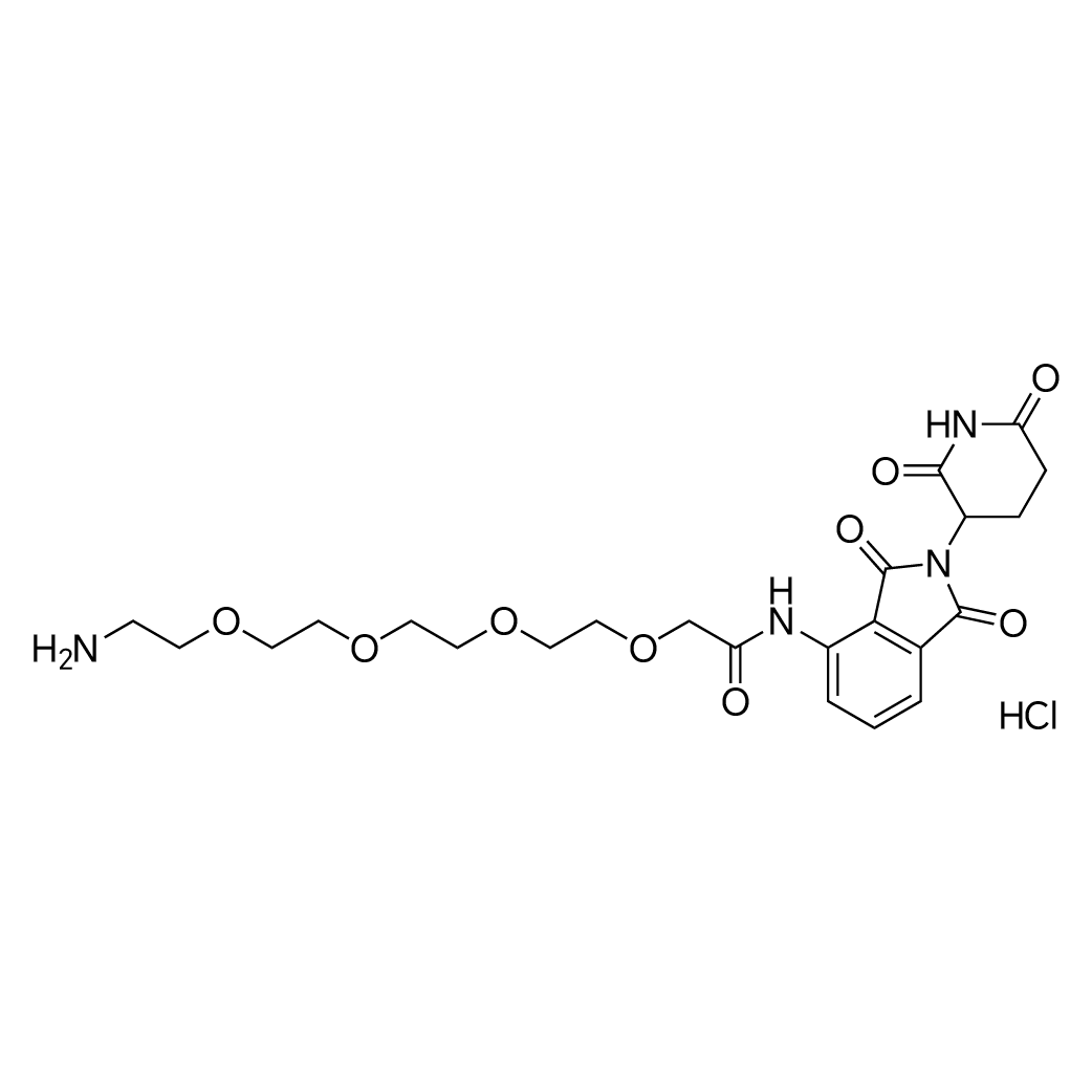14-Amino-N-(2-(2,6-dioxopiperidin-3-yl)-1,3-dioxoisoindolin-4-yl)-3,6,9,12-tetraoxatetradecan-1-amide hydrochloride structure diagram