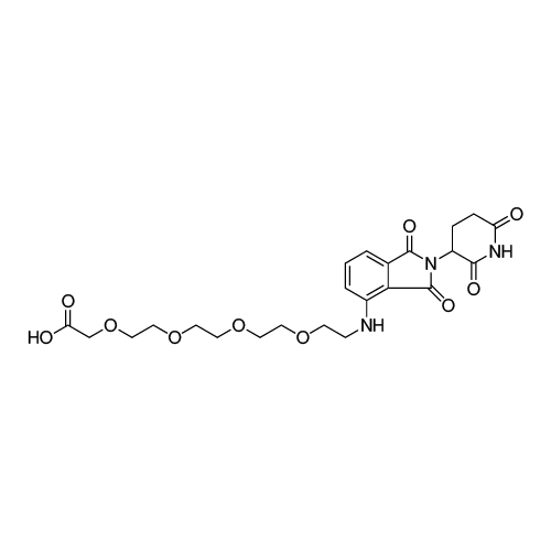 14-((2-(2,6-Dioxopiperidin-3-yl)-1,3-dioxoisoindolin-4-yl)amino)-3,6,9,12-tetraoxatetradecan-1-oic acid structure diagram
