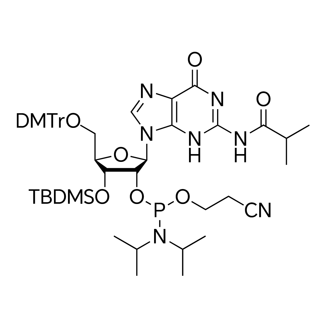 3'-O-tert-Butyldimethylsilyl-5'-O-DMT-N2-isobutyrylguanosine 2'-CE phosphoramidite structure diagram