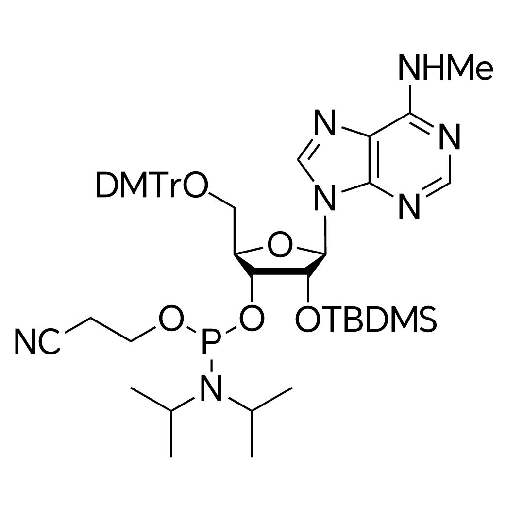 (2R,3R,4R,5R)-2-((Bis(4-methoxyphenyl)(phenyl)methoxy)methyl)-4-((tert-butyldimethylsilyl)oxy)-5-(6-(methylamino)-9H-purin-9-yl)tetrahydrofuran-3-yl (2-cyanoethyl) diisopropylphosphoramidite structure diagram