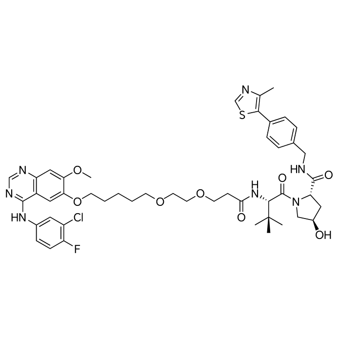 (2S,4R)-1-((S)-2-(3-(2-((5-((4-((3-chloro-4-fluorophenyl)amino)-7-methoxyquinazolin-6-yl)oxy)pentyl)oxy)ethoxy)propanamido)-3,3-dimethylbutanoyl)-4-hydroxy-N-(4-(4-methylthiazol-5-yl)benzyl)pyrrolidine-2-carboxamide structure diagram