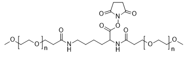 2-arm PEG-NHS MW 20000 structure diagram