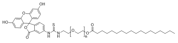 Stearic acid-PEG-FITC, MW 1,000 structure diagram