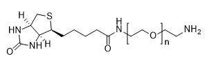 Biotin-PEG-amine, MW 1,000 structure diagram